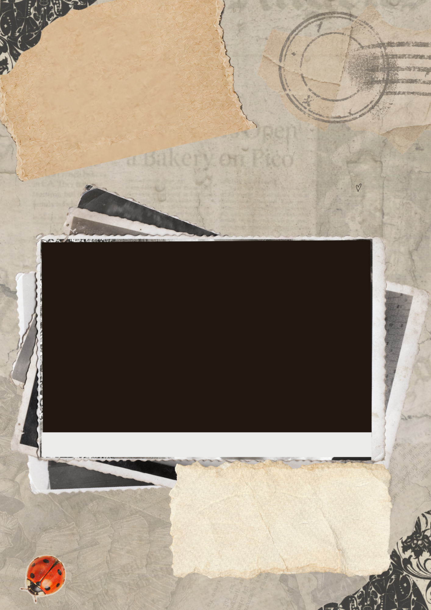 Layout 5
